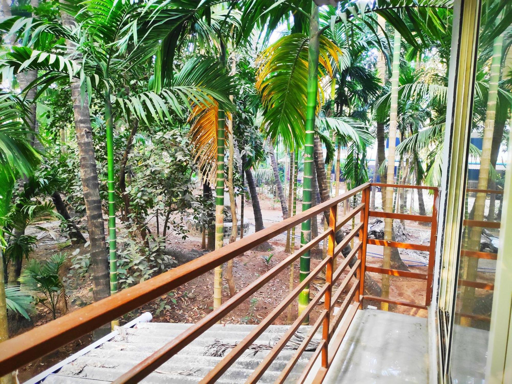 Ashish Baug Cottage Alībāg Habitación foto